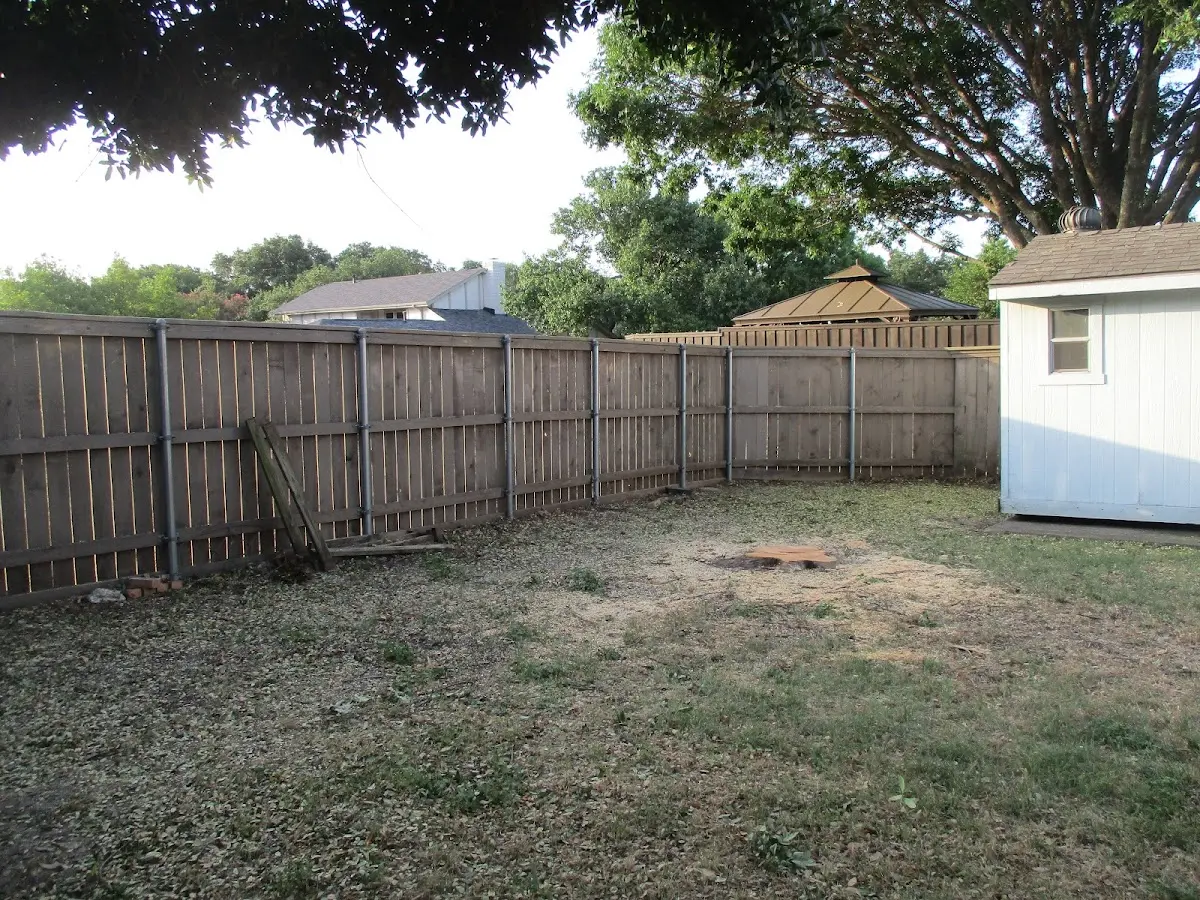Cleared yard after professional tree removal in Porters Falls